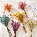 Flower Stems – Perfect for Beautiful Floral Arrangements 🌸