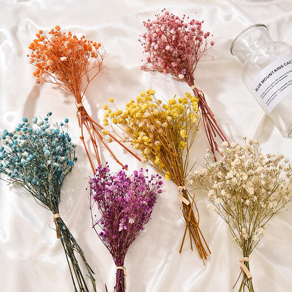Flower Stems – Perfect for Beautiful Floral Arrangements 🌸