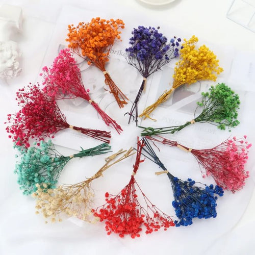 Flower Stems – Perfect for Beautiful Floral Arrangements 🌸